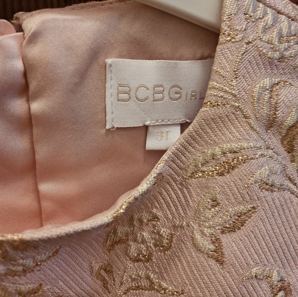 Designer Toddler Dress (3T, BCBG)